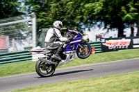 cadwell-no-limits-trackday;cadwell-park;cadwell-park-photographs;cadwell-trackday-photographs;enduro-digital-images;event-digital-images;eventdigitalimages;no-limits-trackdays;peter-wileman-photography;racing-digital-images;trackday-digital-images;trackday-photos